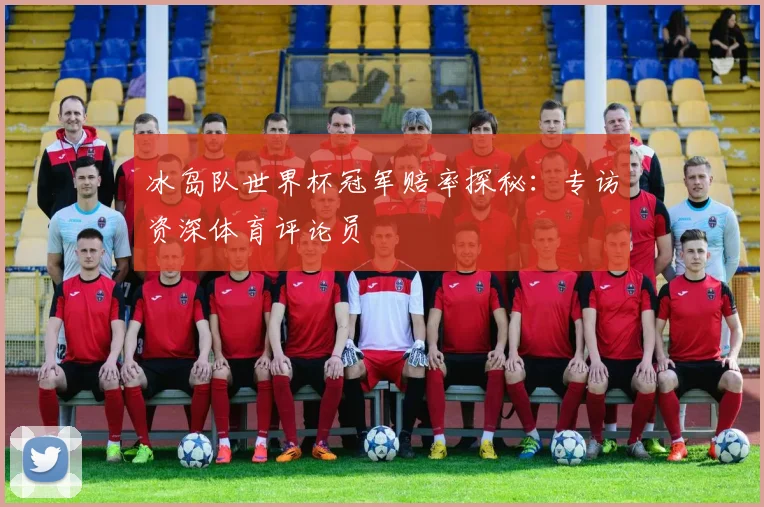 冰岛队世界杯冠军赔率探秘：专访资深体育评论员