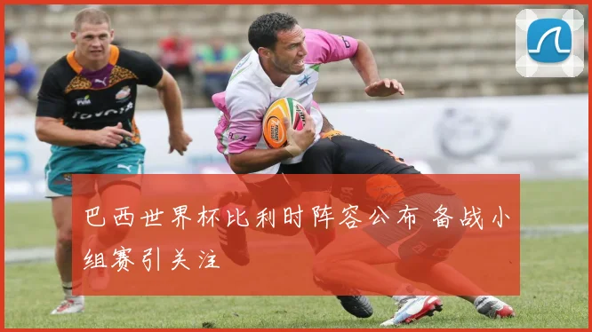 巴西世界杯比利时阵容公布 备战小组赛引关注